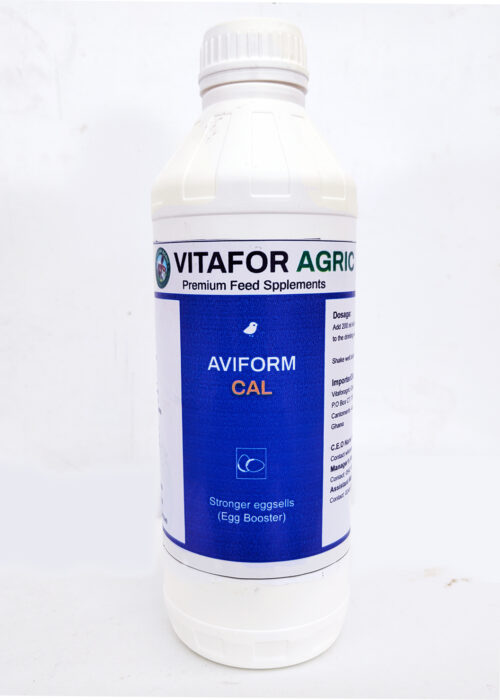 IMG_20250528_093558285_MP copy