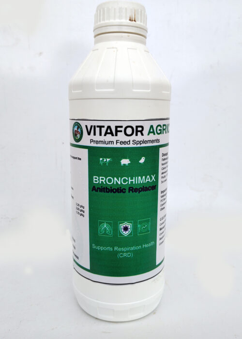 IMG_20250528_093614182_MP copy