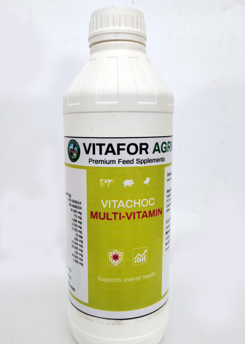 IMG_20250528_093637292_MP