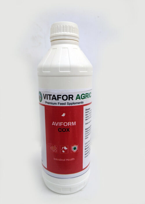 PXL_20250528_093418562